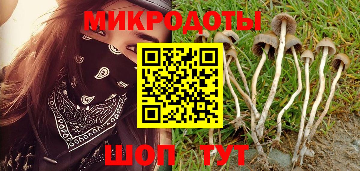 Псилоцибиновые грибы Psilocybe  Галлюциногенные грибы прущие грибы  наркотики  Октябрьский  Вход с VPN 